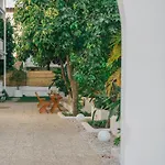 Nephos * Σιντέ
